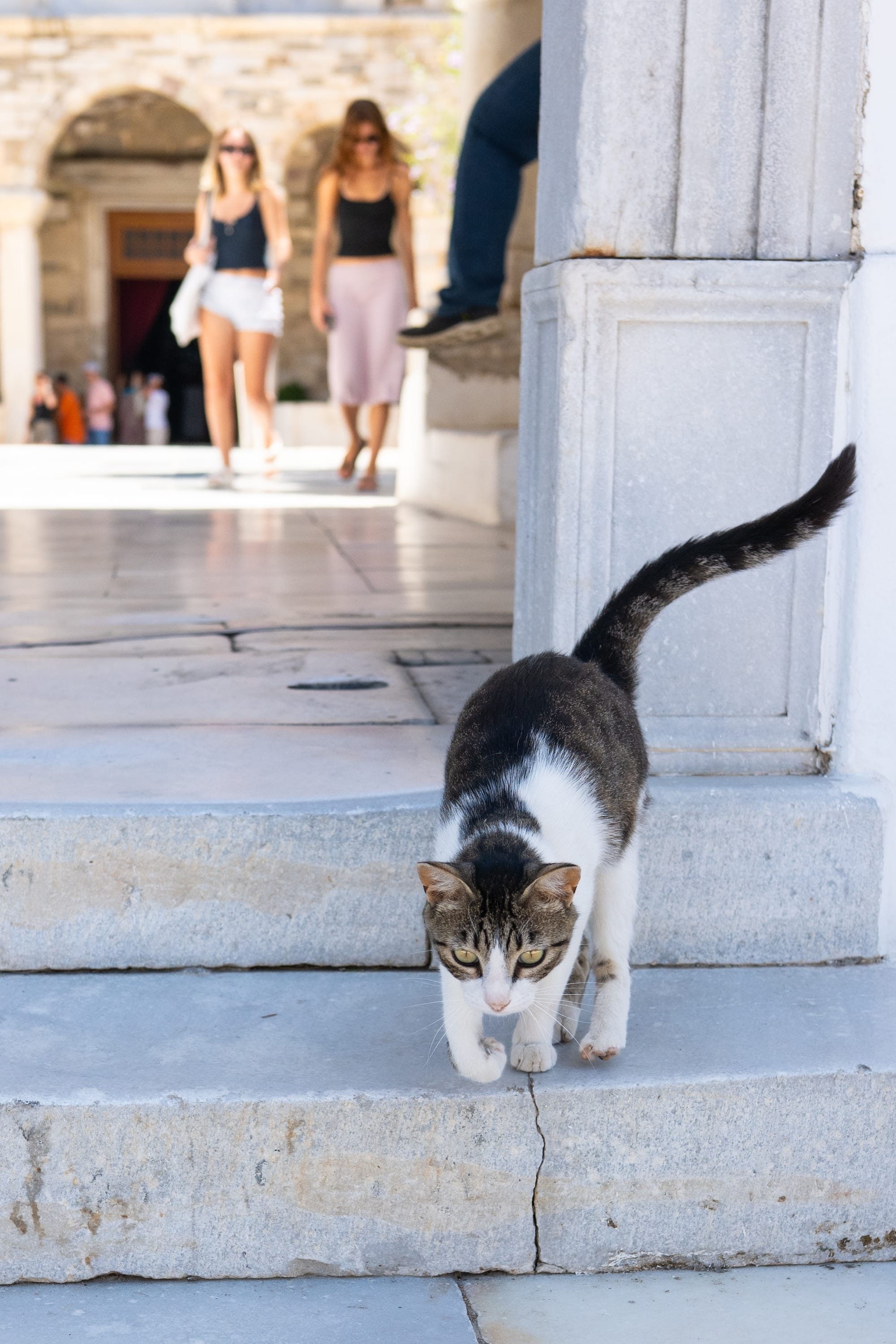 Greece 2025