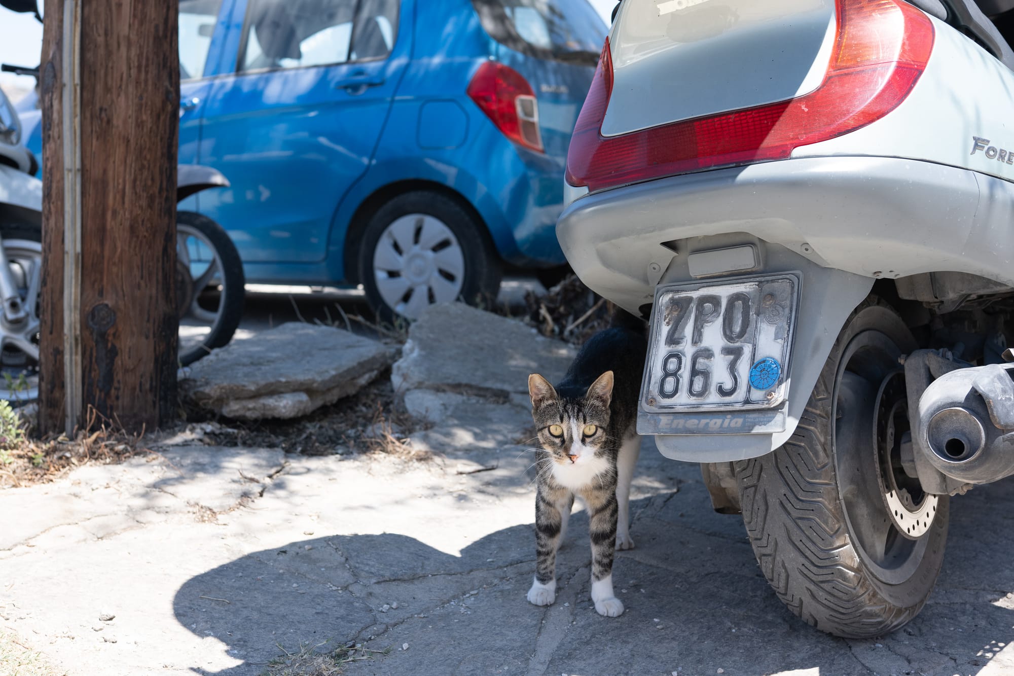 Greece 2025