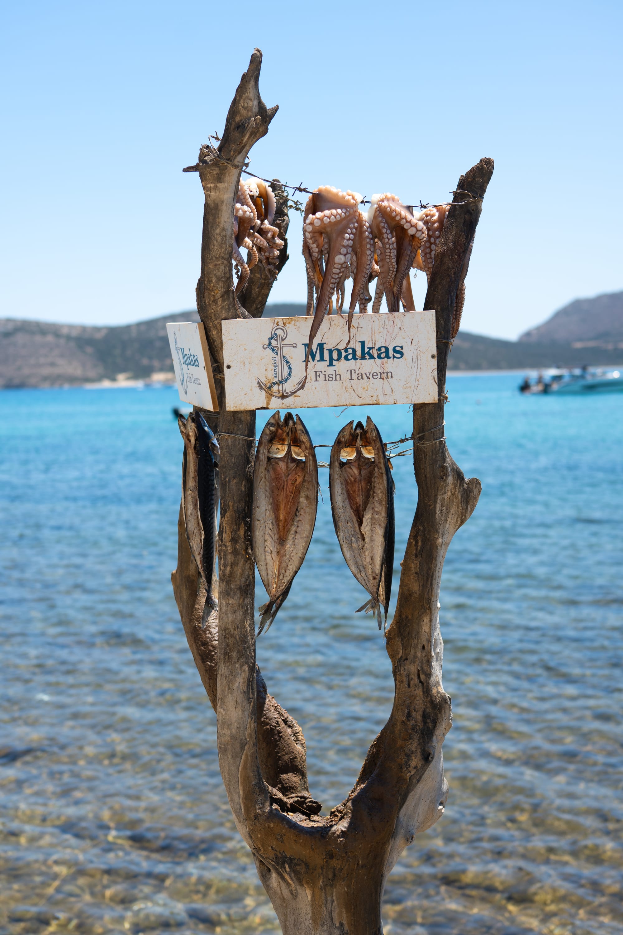 Greece 2025