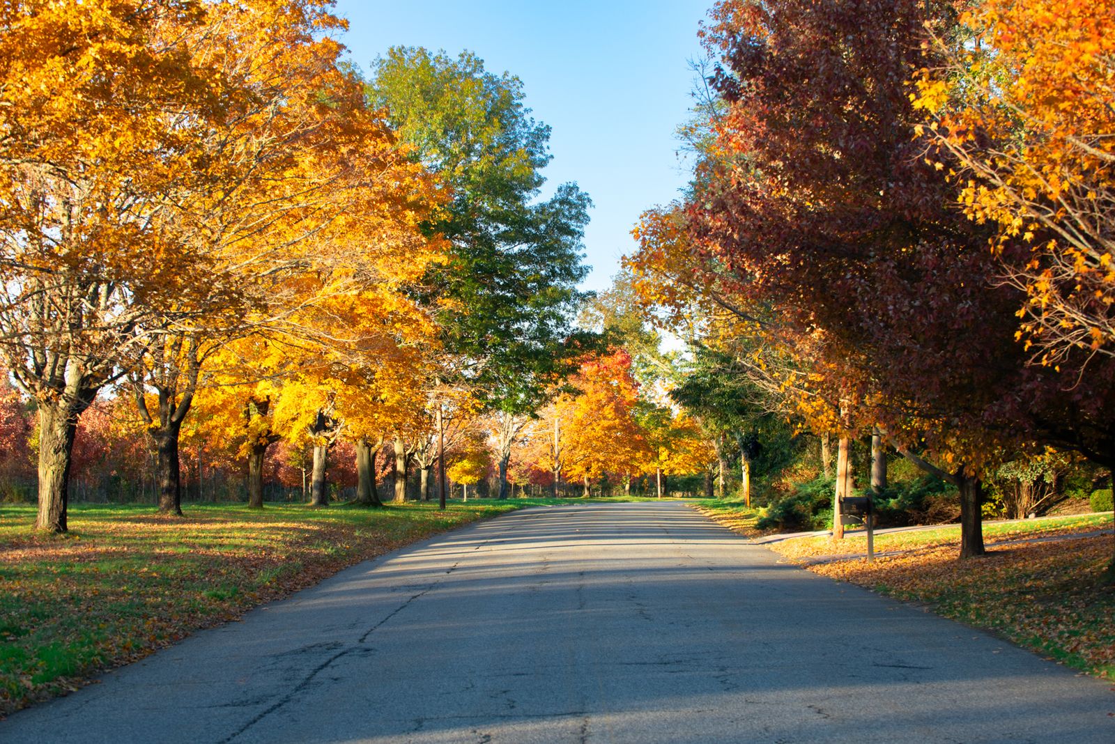Fall in Cranbury, NJ